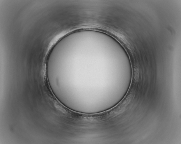 X0000112901366200909111516