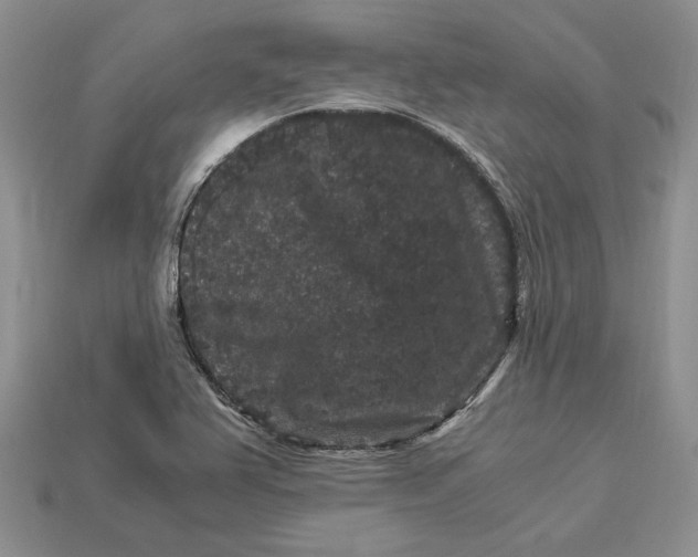 X0000112901367200909111516