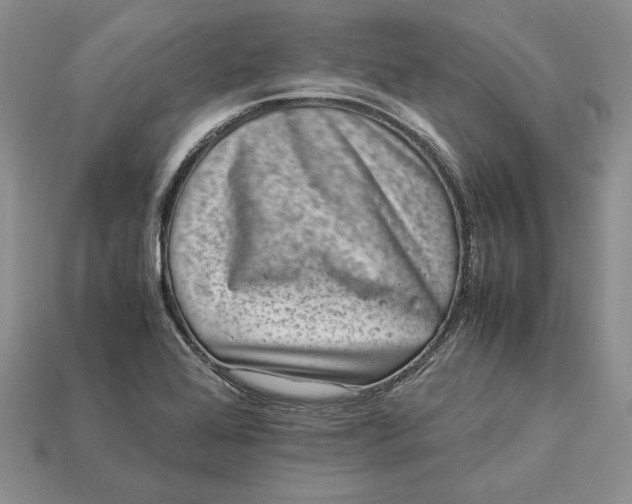 X0000112901368200909111516