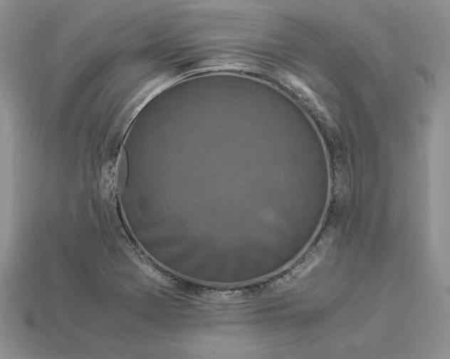 X0000112901369200909111516