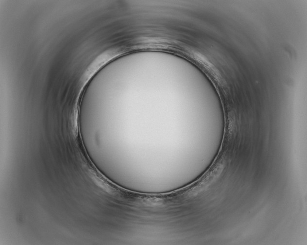 X0000112901370200909111516