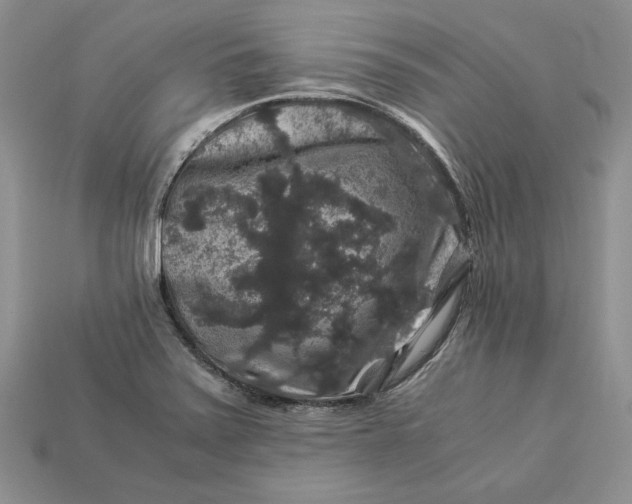 X0000112901371200909111516