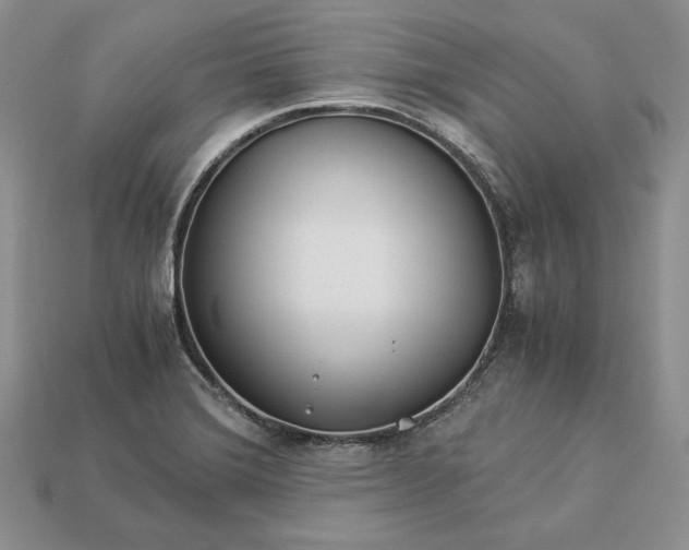 X0000112901372200909111516