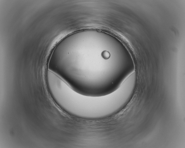 X0000112901373200909111516