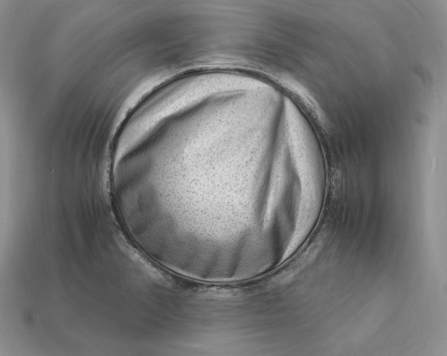X0000112901374200909111516