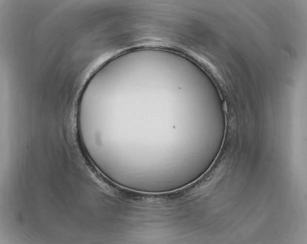 X0000112901375200909111516
