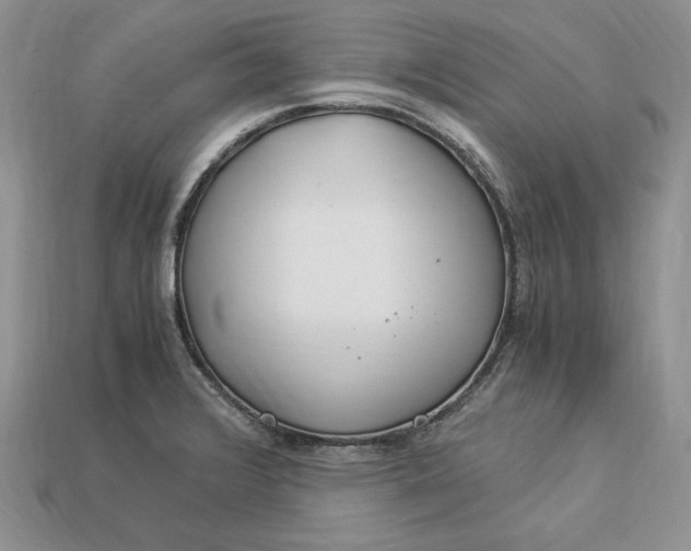 X0000112901376200909111516