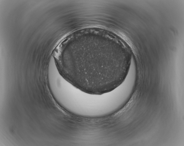 X0000112901377200909111516