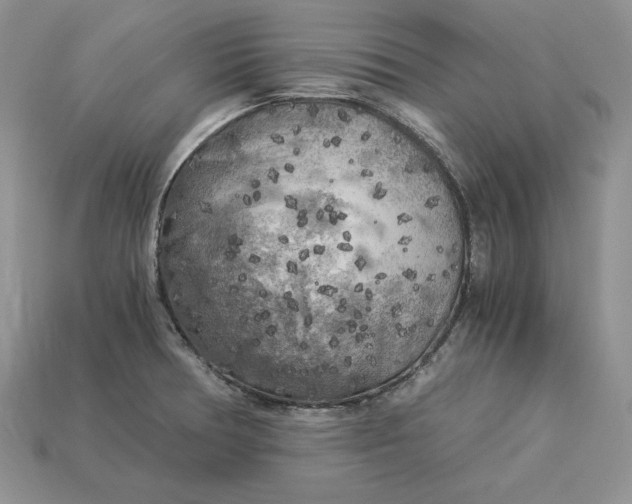 X0000112901378200909111516