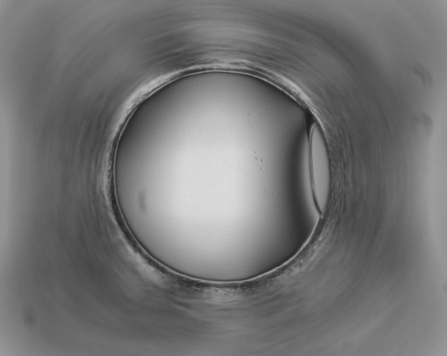 X0000112901379200909111516