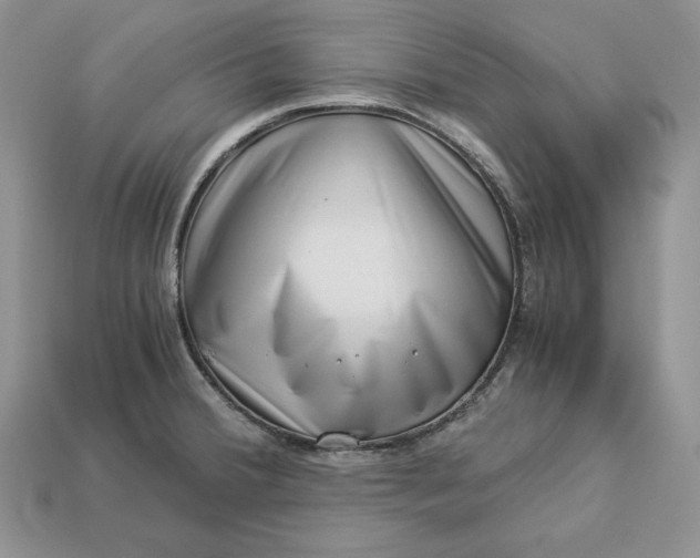 X0000112901380200909111516