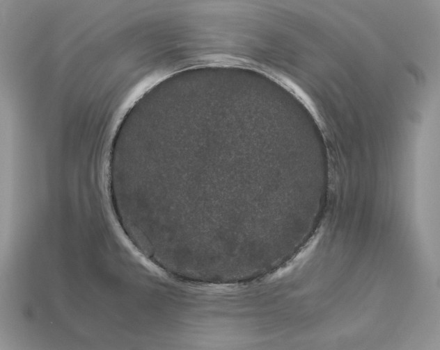 X0000112901381200909111516
