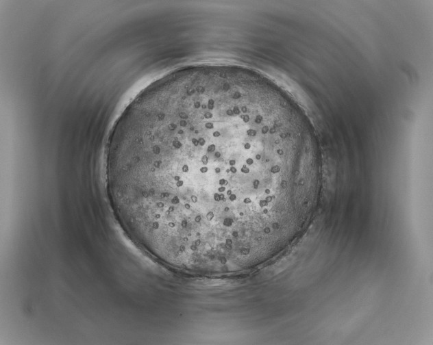 X0000112901382200909111515