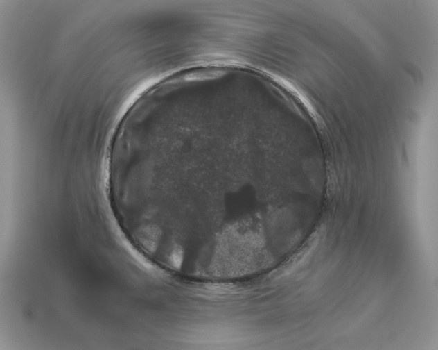 X0000112901383200909111515