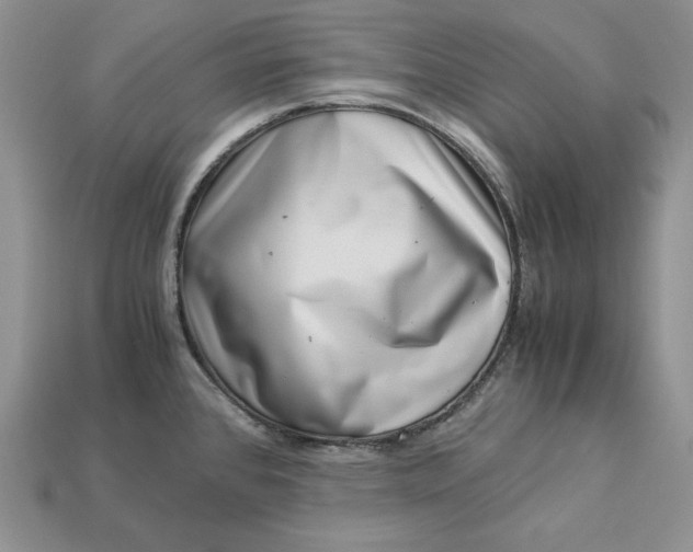X0000112901384200909111515