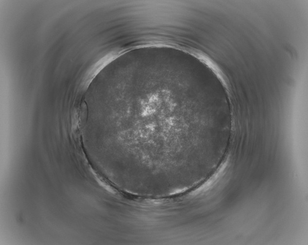 X0000112901385200909111515