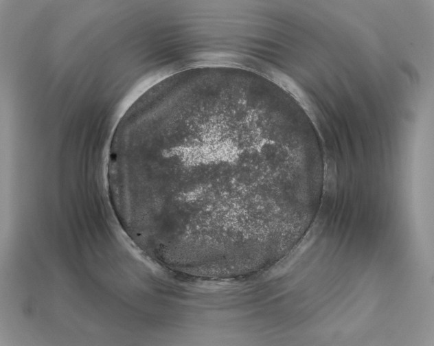 X0000112901386200909111515