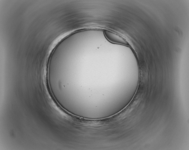 X0000112901387200909111515