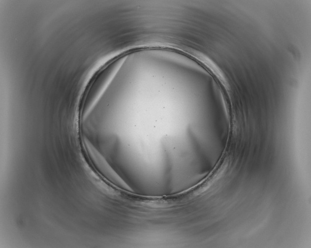 X0000112901388200909111515
