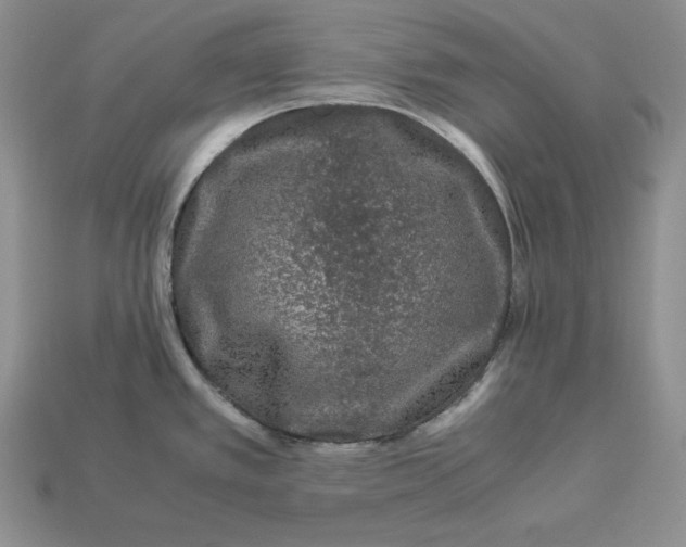 X0000112901389200909111515