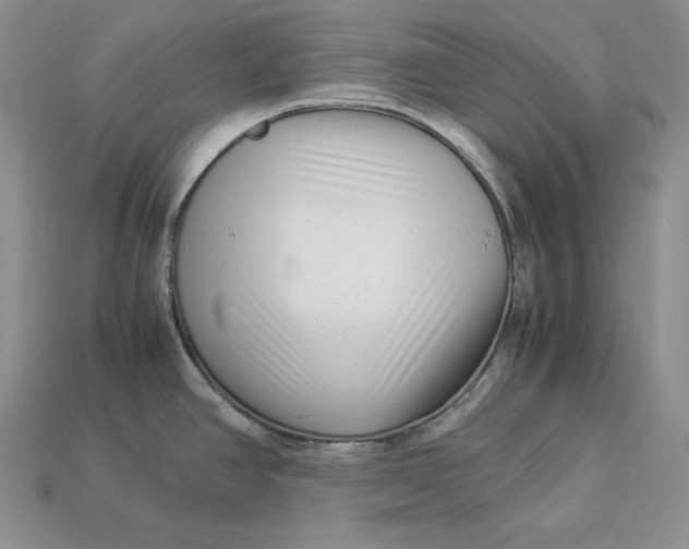 X0000112901390200909111515