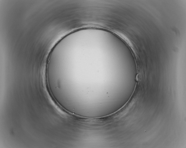 X0000112901391200909111515