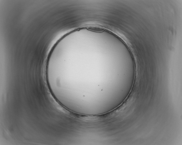 X0000112901392200909111515