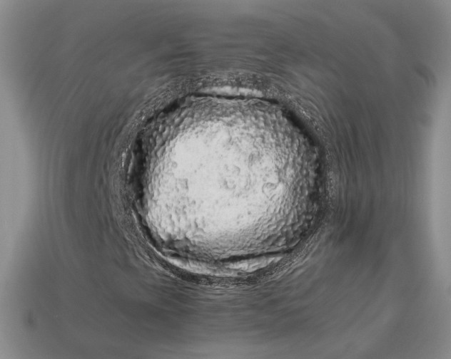 X0000112901393200909111515