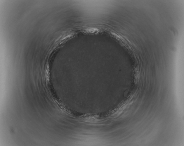 X0000112901394200909111515