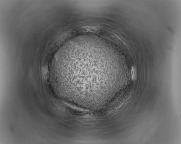 X0000112901395200909111515