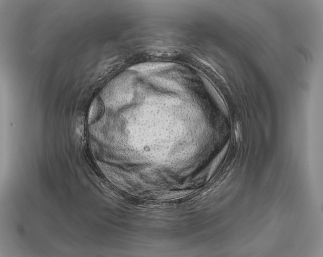 X0000112901396200909111515