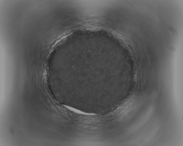 X0000112901397200909111515