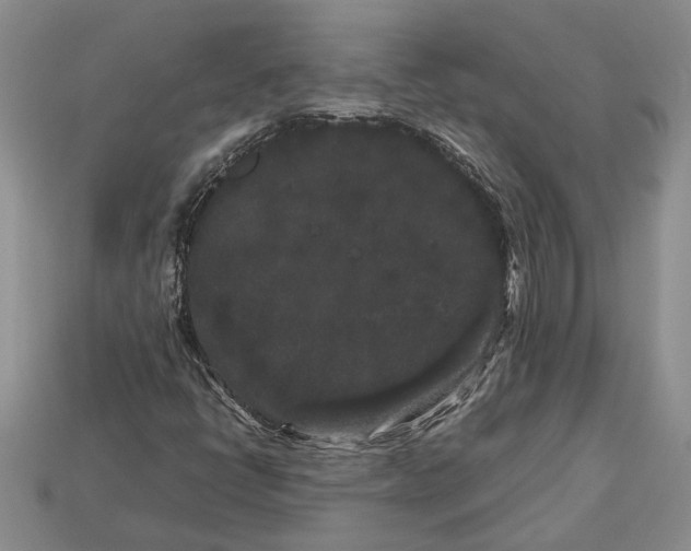 X0000112901398200909111515