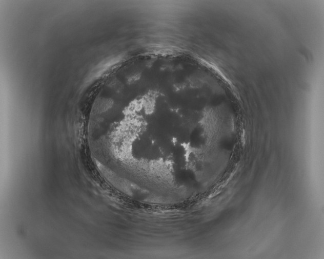 X0000112901399200909111515