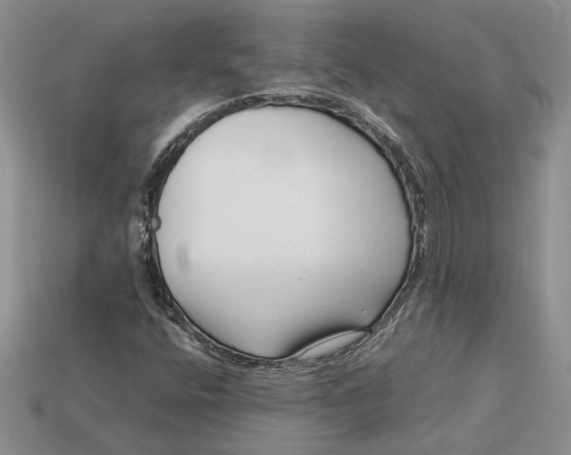 X0000112901400200909111515