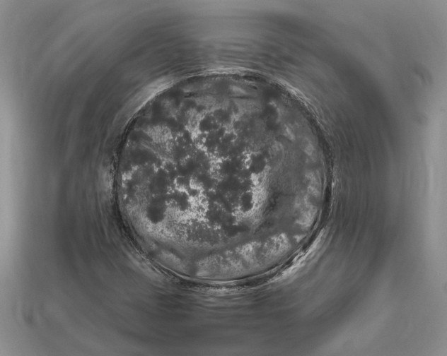 X0000112901401200909111515