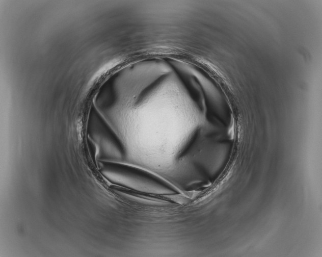 X0000112901402200909111515