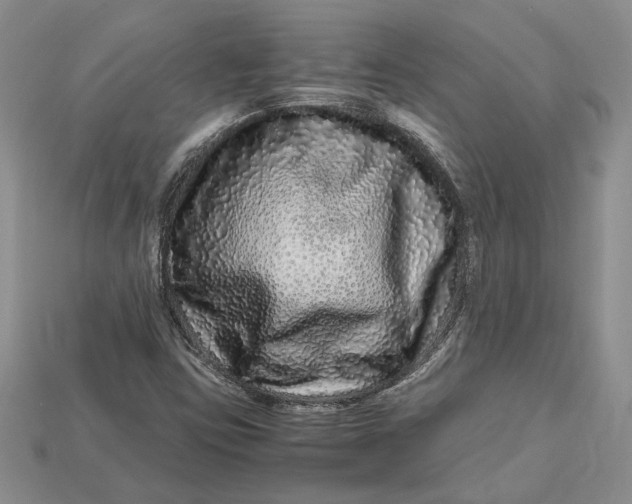 X0000112901403200909111515