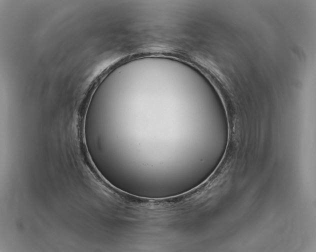 X0000112901404200909111515