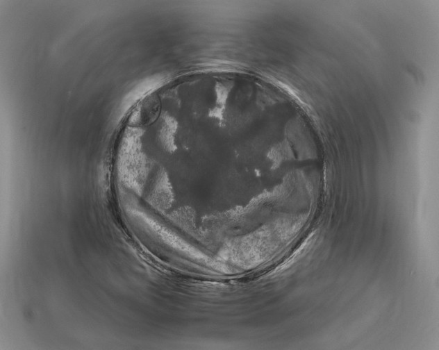 X0000112901405200909111515