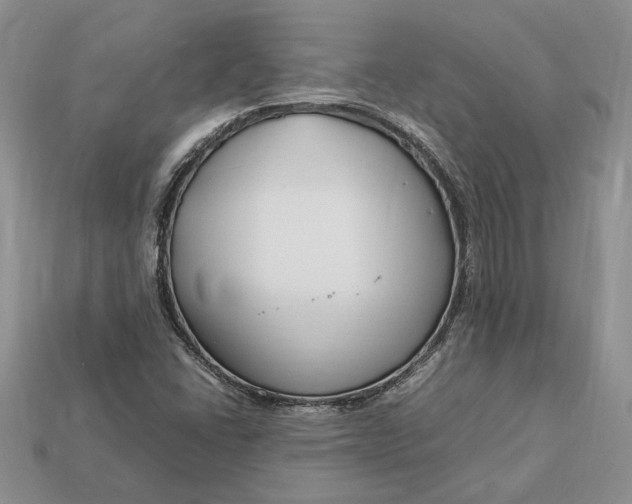 X0000112901406200909111515
