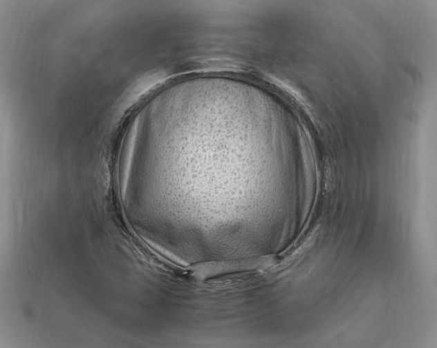 X0000112901407200909111515