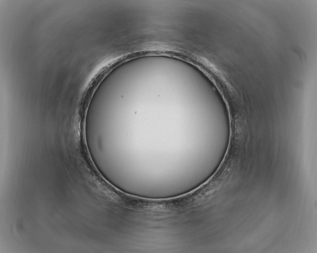 X0000112901408200909111515