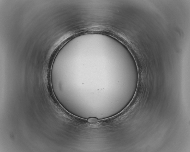 X0000112901410200909111515