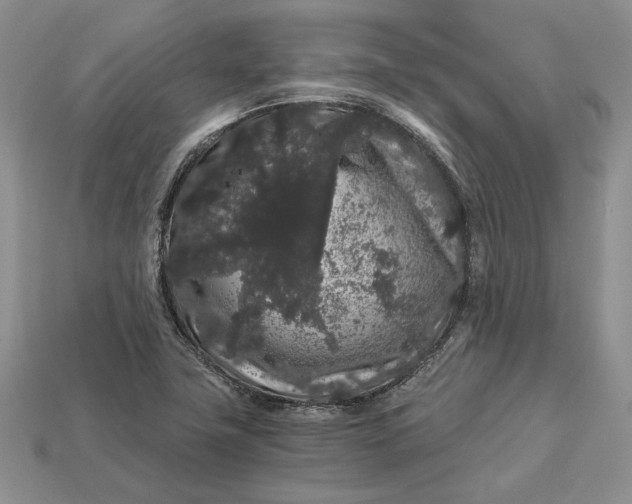 X0000112901411200909111515