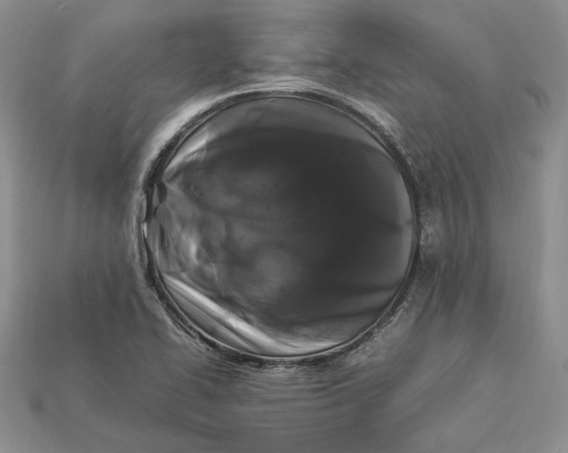 X0000112901414200909111515
