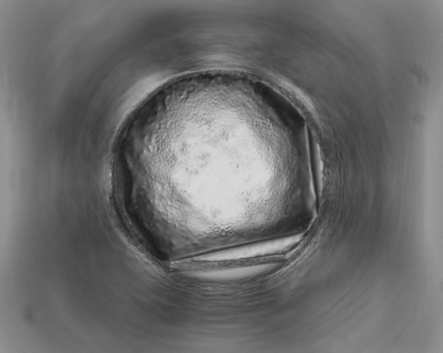 X0000112901415200909111515