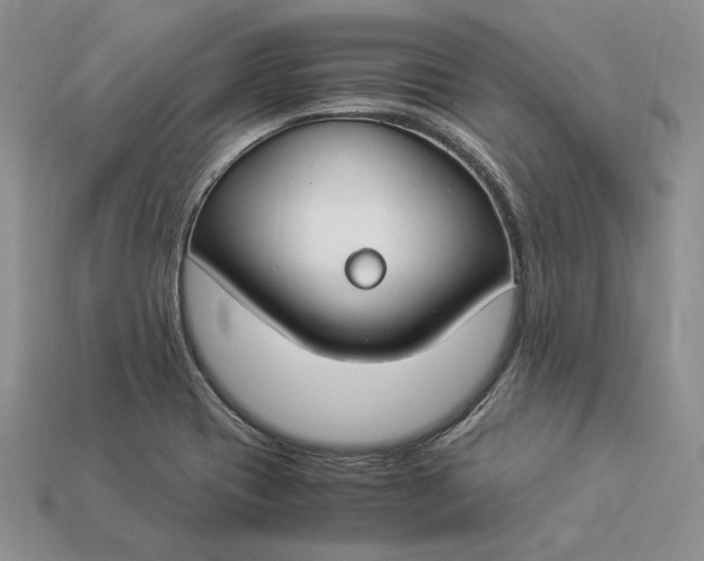 X0000112901417200909111515