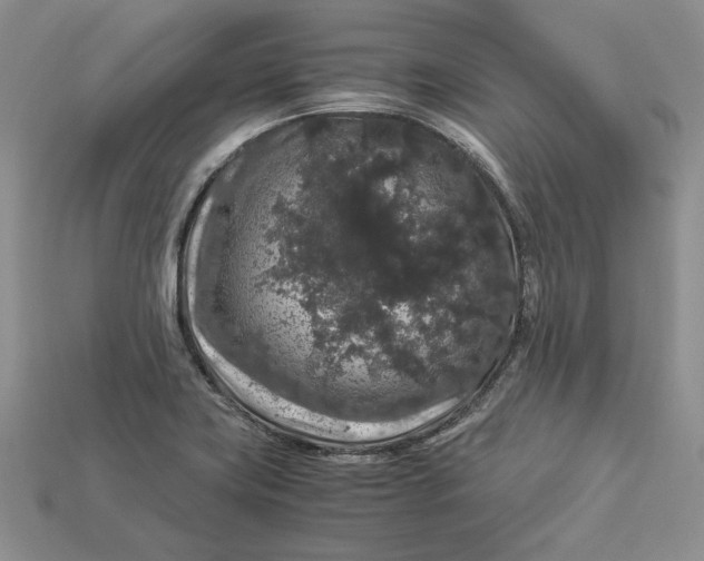 X0000112901419200909111515