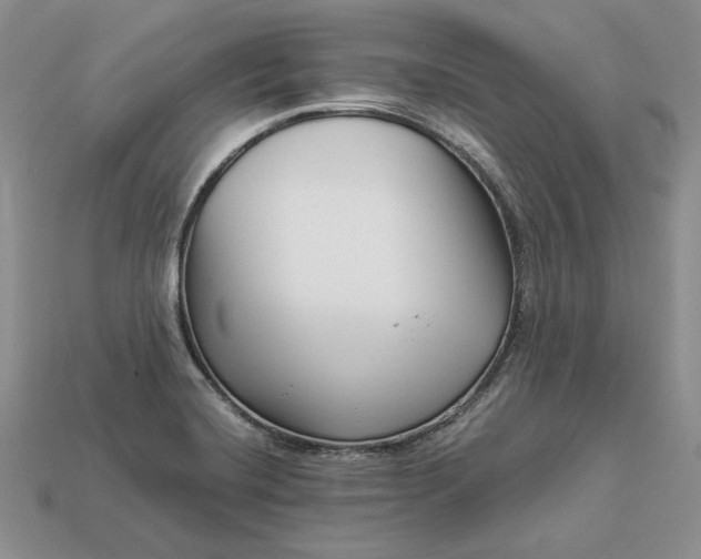 X0000112901420200909111515